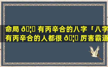 命局 🦅 有丙辛合的八字「八字有丙辛合的人都很 🦅 厉害霸道吗」